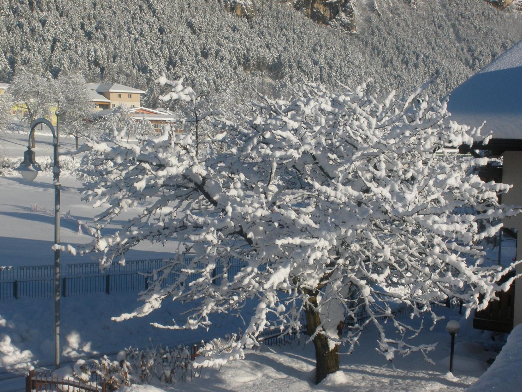 Casa Pallanch Fai della Paganella Exterior foto